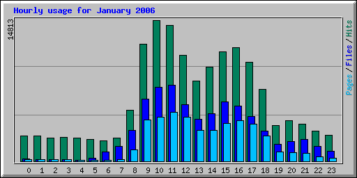 Hourly usage for January 2006